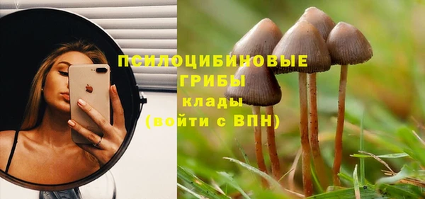 гашишное масло Богородск