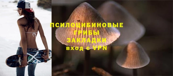 марки lsd Белокуриха