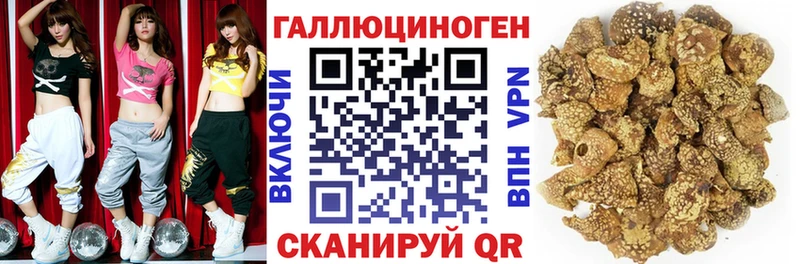 цена наркотик  Электросталь  Галлюциногенные грибы MAGIC MUSHROOMS 